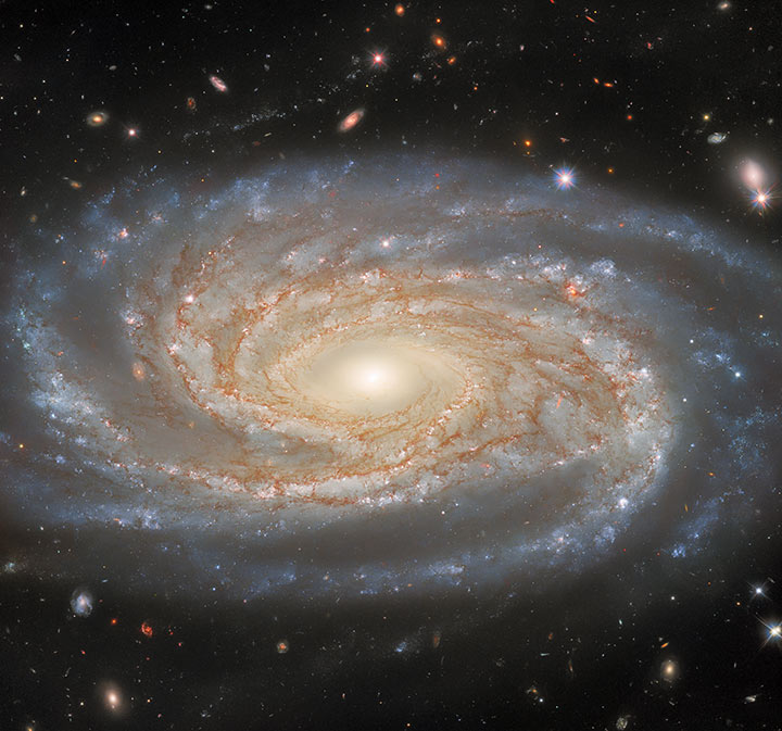 Spiralgalaksen NGC 7038