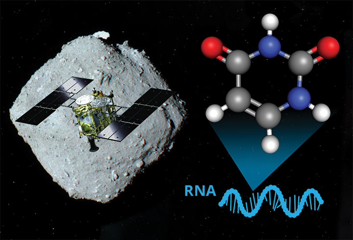 RNA-ingrediens funnet på asteroiden Ryugu