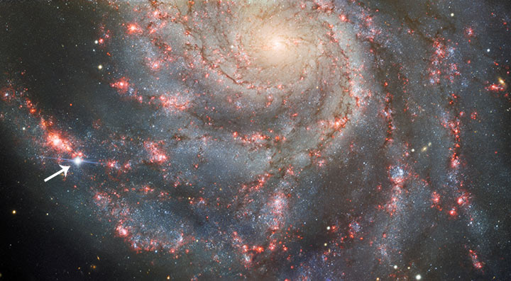 Supernovaen SN 2023ixf i galaksen M101